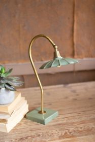 ANTIQUE BRASS GOOSE NECK TABLE LAMP WITH ENAMEL SHADE
